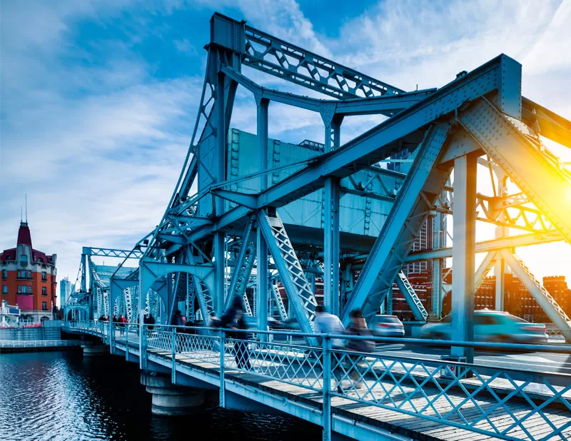 VOPSIRE PROFESIONALĂ